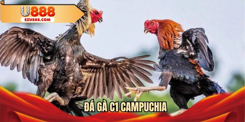 đá gà C1 Campuchia