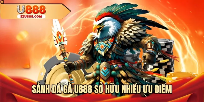 Sảnh đá gà U888 sở hữu nhiều ưu điểm