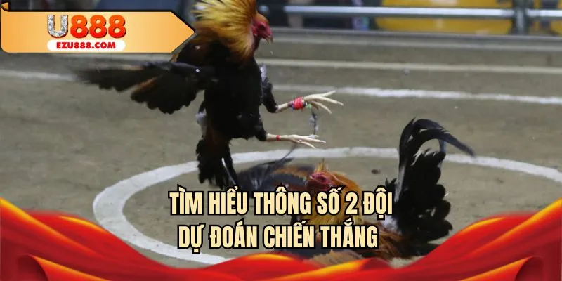 Tìm hiểu thông số 2 đội dự đoán chiến thắng