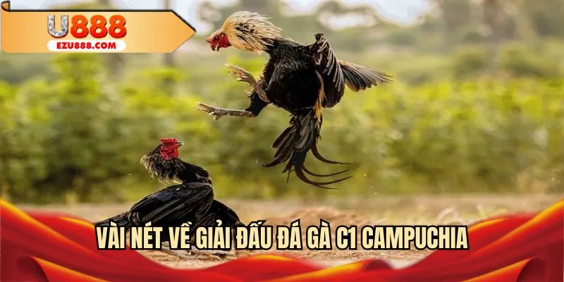 Vài nét về giải đấu đá gà C1 Campuchia